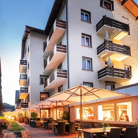 Alpenhof Hotel Unterbäch