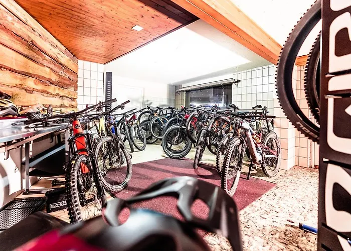 Alpenhof 3* Unterbäch