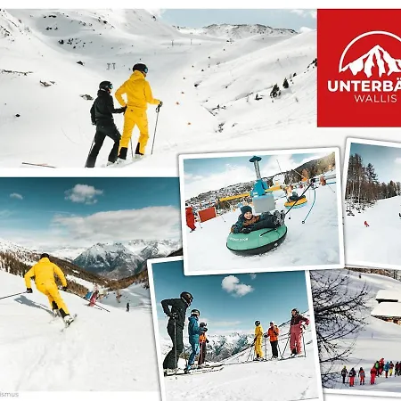 Отель Alpenhof Unterbach (Valais)