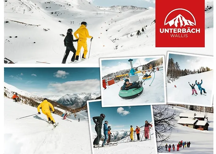 Отель Alpenhof Unterbach (Valais)